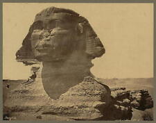 Photo:The Sphinx,Egypt,Archaeological Sites,1867-1899 picture