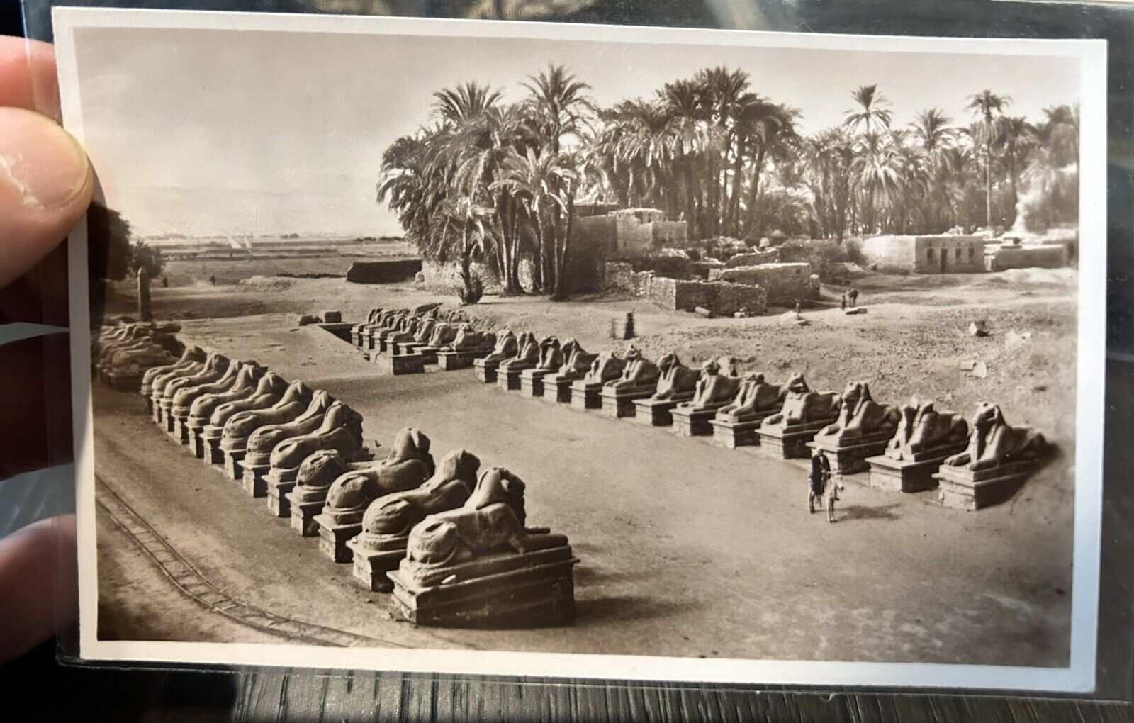 Egypt Postcard - Karnak Sphinxes 1920s