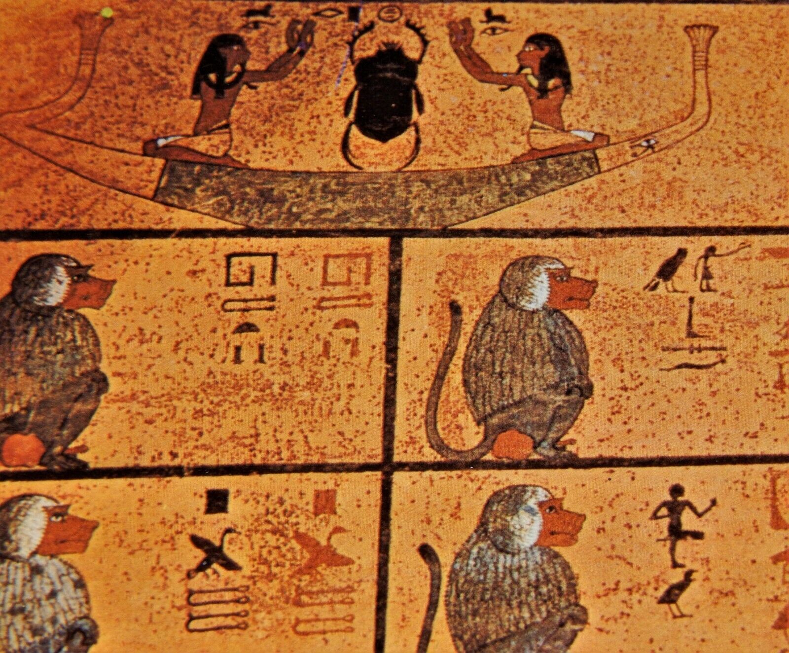 Vintage Postcard,ASWAN,EGYPT,Tut Ankh Amum,Sacred Baboons & Netherworld Painting