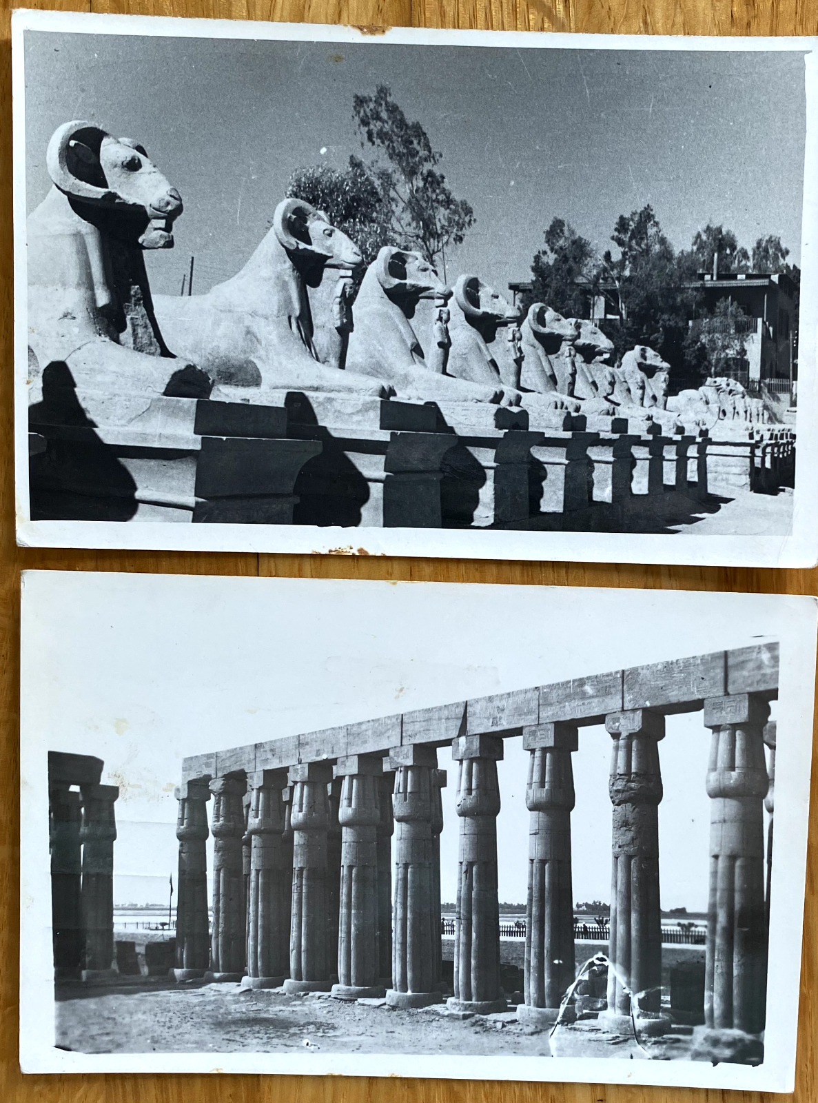 ANCIENT EGYPT   (2) Vintage  Postcards -   Luxor  Columns - Karnak Ave  Sphinxes