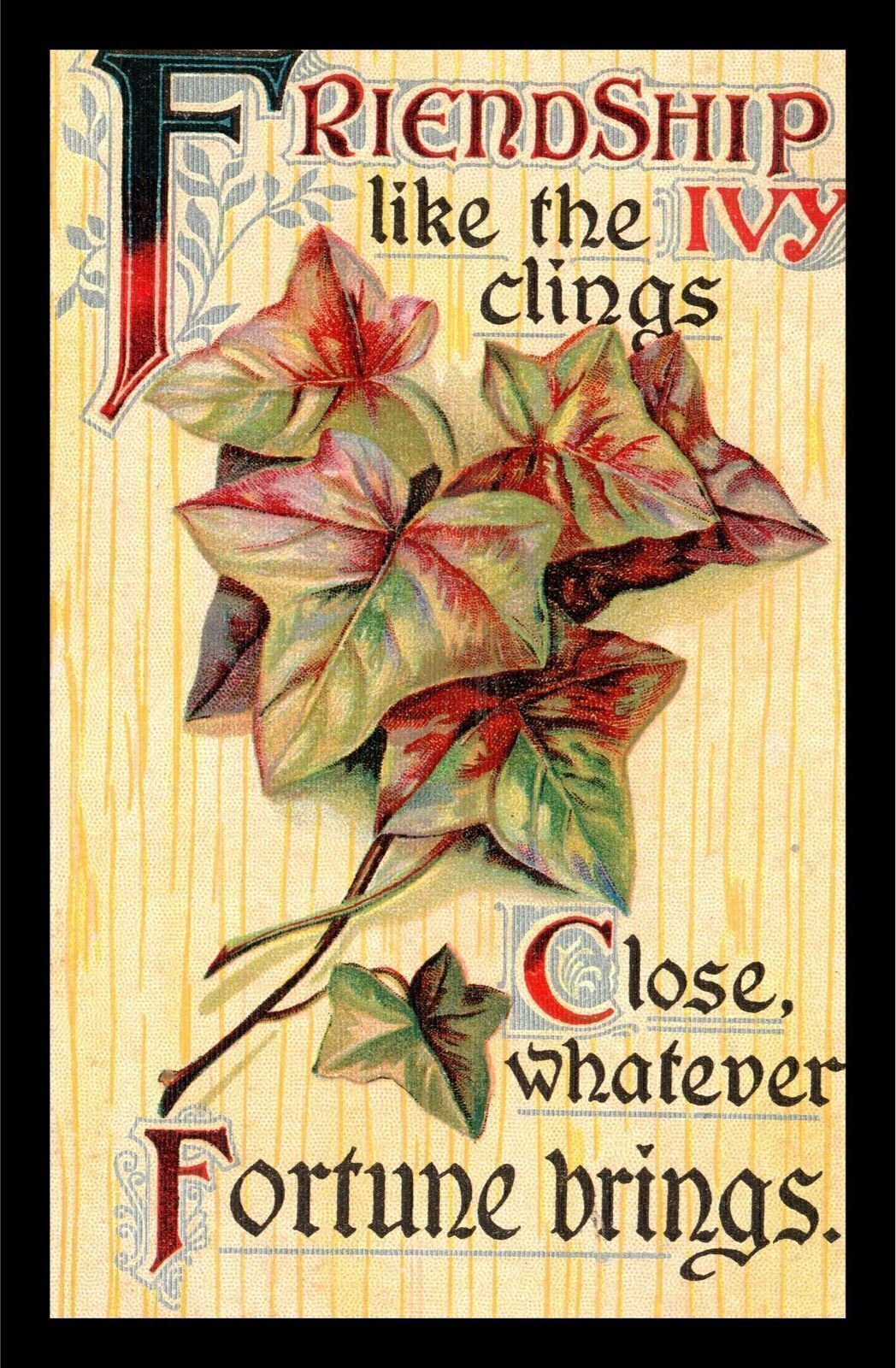 1910 Friendship Like The Ivy Clings Topsham Maine Postcard 282