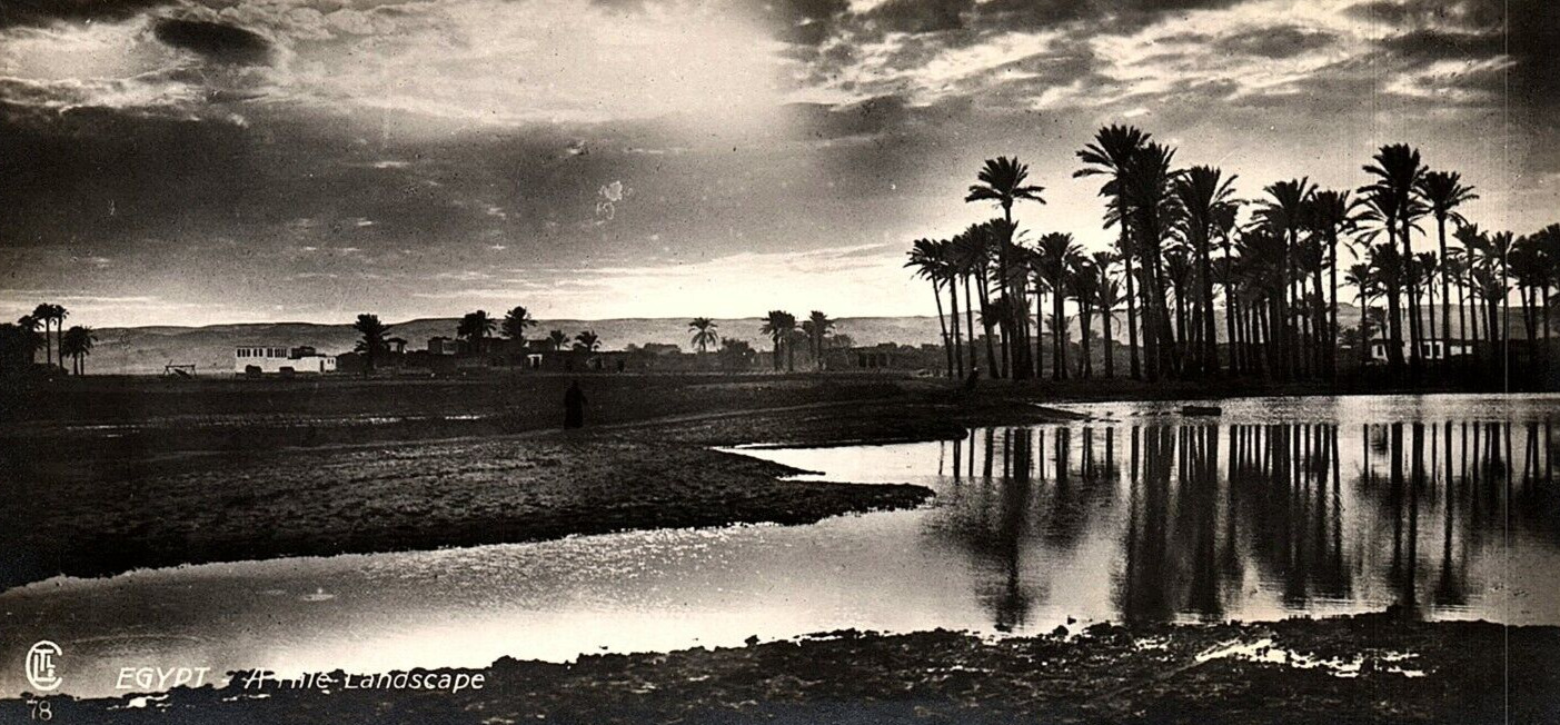 1920s CAIRO EGYPT OSASIS LANDSCAPE PHOTO RPPC POSTCARD P1685