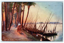 1905 Banks of the Nile Near Cairo Egypt Posted Oilette Tuck Art Postcard picture
