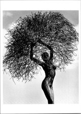 1986 Herb Ritts Risqué Nude Neith with Tumbleweed Paradise Cove Art Postcard picture